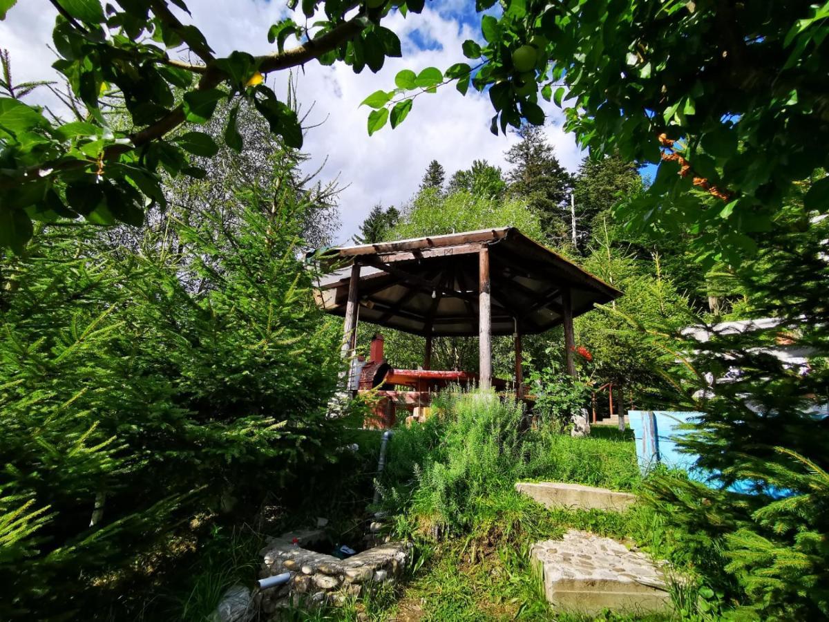 Vila Alunis 부스테니 외부 사진