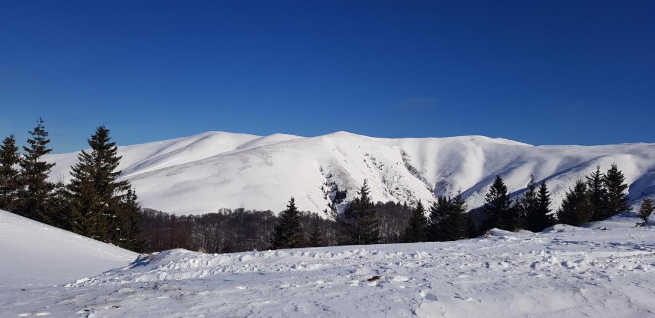 Vila Alunis 부스테니 외부 사진