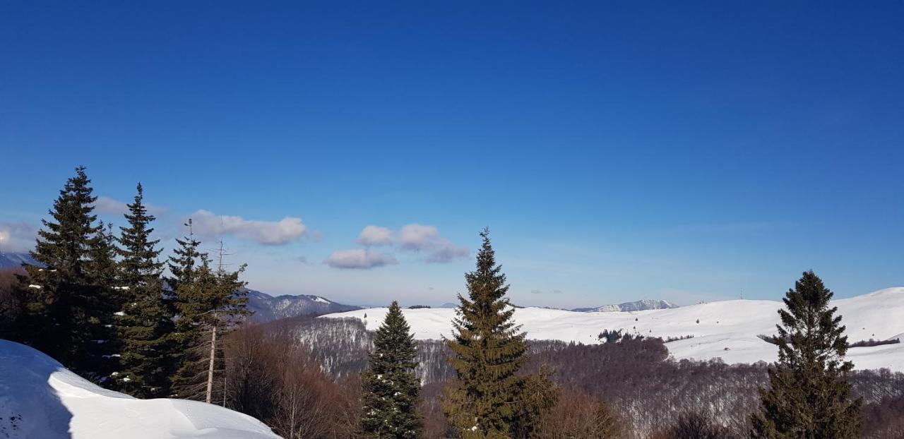 Vila Alunis 부스테니 외부 사진