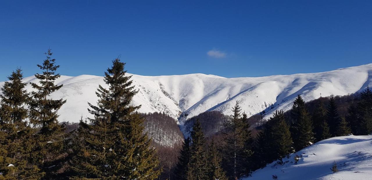 Vila Alunis 부스테니 외부 사진