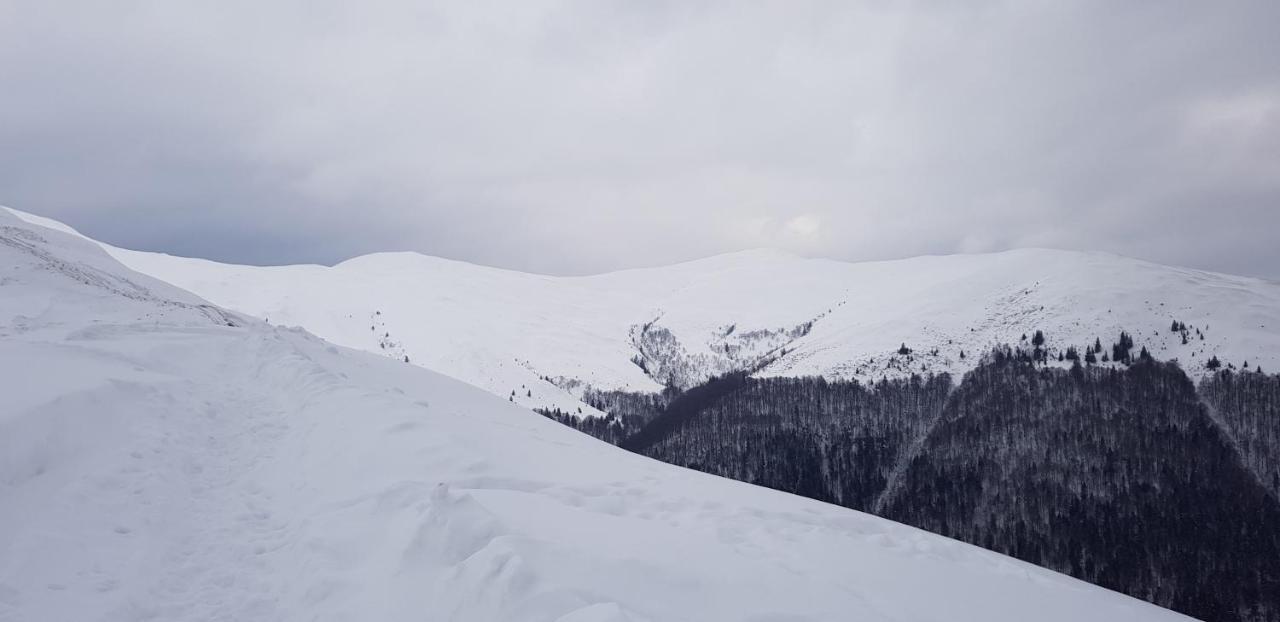 Vila Alunis 부스테니 외부 사진