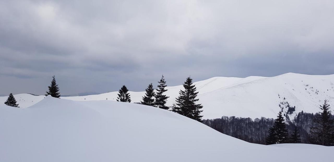 Vila Alunis 부스테니 외부 사진